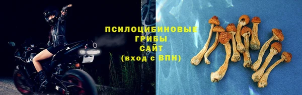 ALPHA-PVP Пестово