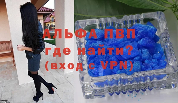 прущие грибы Свободный