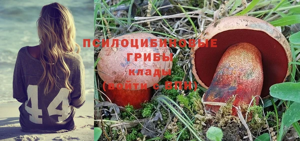 ALPHA-PVP Пестово