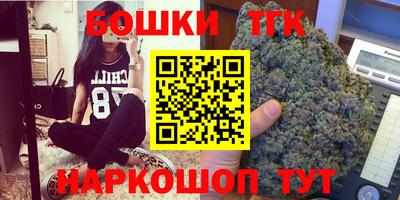 МДПВ Камышлов
