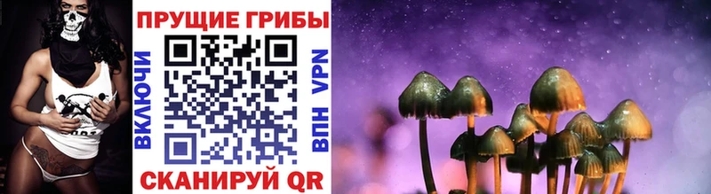 дарнет шоп  ссылка на мегу зеркало  Галлюциногенные грибы мухоморы  Унеча 