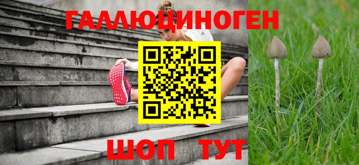 Ляпка  Канабис  Где найти наркотики?  Унеча  Вход с VPN  МЕФ 