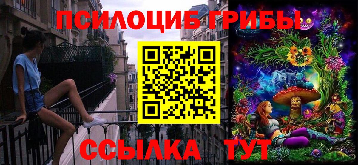 Галлюциногенные грибы Унеча