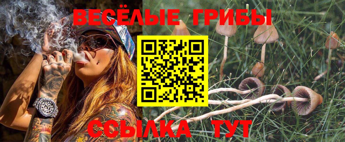 Унеча  Галлюциногенные грибы мицелий  Вход с VPN 